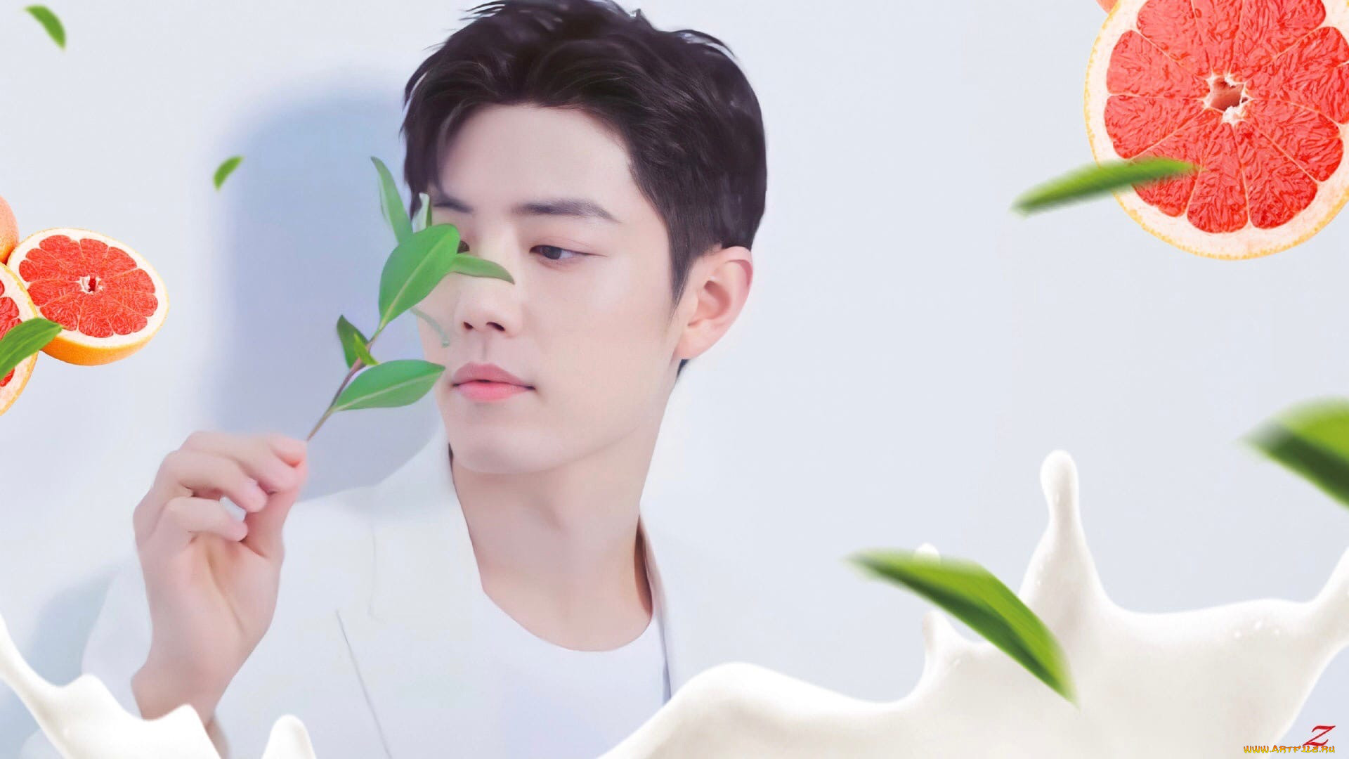 , xiao zhan, , , , 